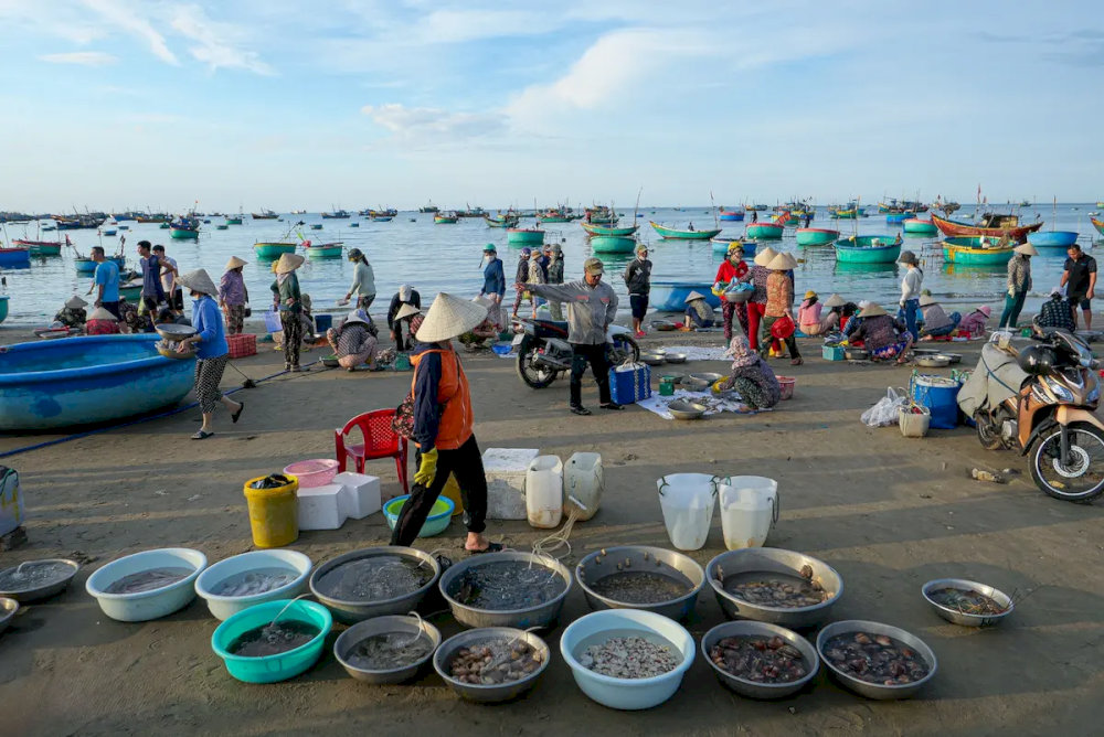 Hãy lựa chọn thật kỹ để mua được hải sản tươi ngon